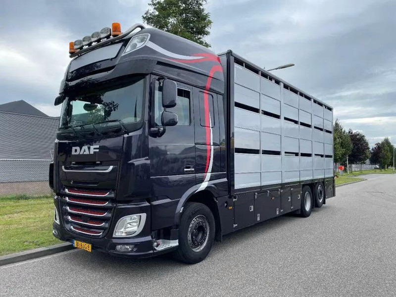 DAF XF 460 - Animal transporter - Camion bétaillère: photos 1 DAF XF 460 - Animal transporter - Camion bétaillère: photos 1