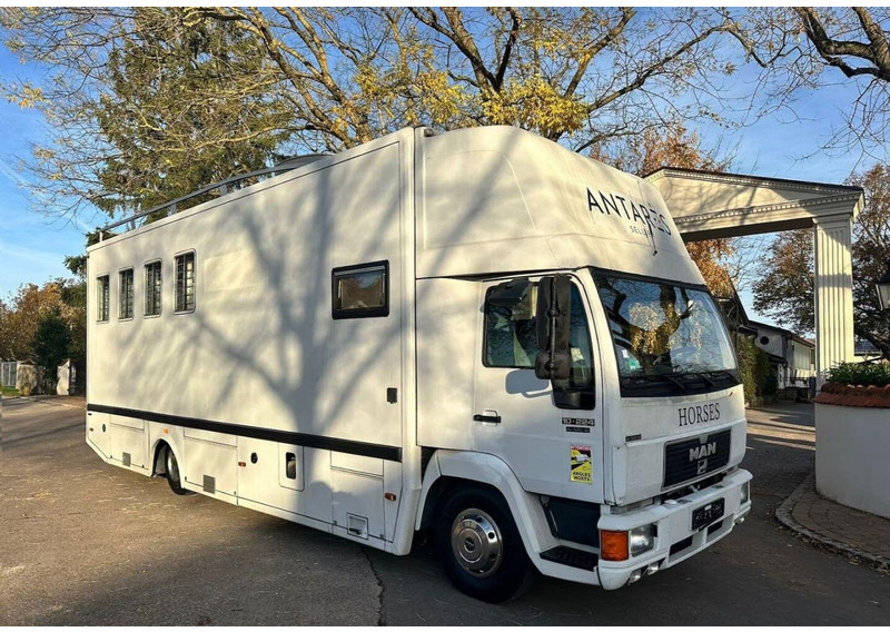 MAN 10.224 - Camion chevaux: photos 1 MAN 10.224 - Camion chevaux: photos 1