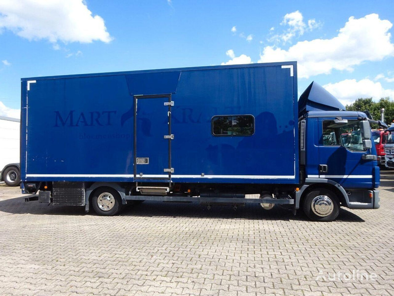 MAN 8.220 - Koffer - Camion fourgon: photos 4 MAN 8.220 - Koffer - Camion fourgon: photos 4