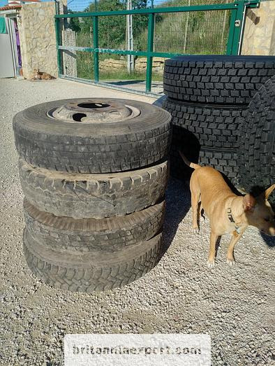 4 x used 7.50-16 LT tyres on 6 studs rims for Toyota Dyna 300 - Roue complète: photos 3 4 x used 7.50-16 LT tyres on 6 studs rims for Toyota Dyna 300 - Roue complète: photos 3