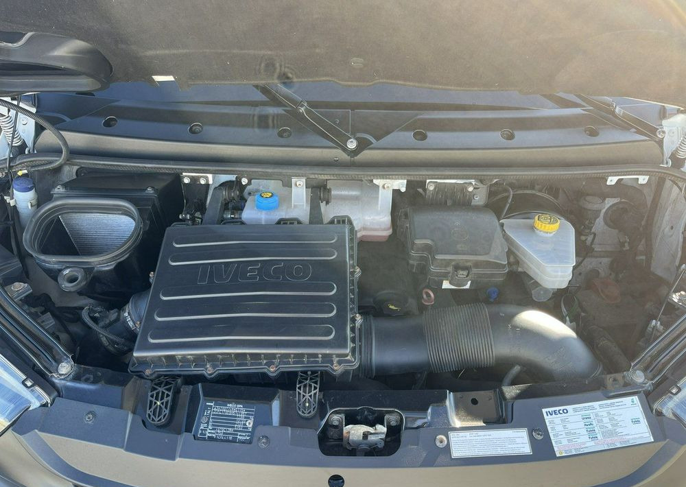 Fourgon grand volume Iveco Daily: photos 14