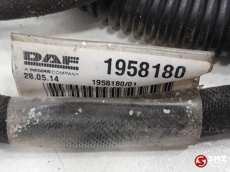 DAF Occ koplampkabelboom DAF - Câble/ Fil pour Camion: photos 3 DAF Occ koplampkabelboom DAF - Câble/ Fil pour Camion: photos 3