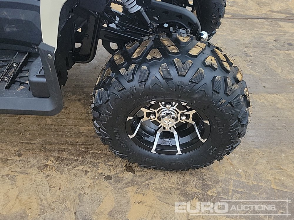 Quadricycle Unused 2025 Titan 250: photos 10