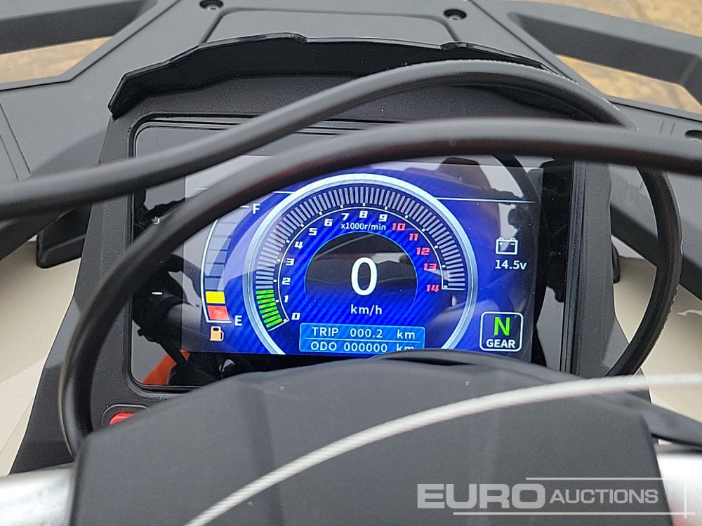 Quadricycle Unused 2025 Titan 250: photos 26