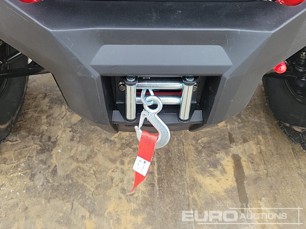 Quadricycle Unused 2025 Titan 250: photos 19