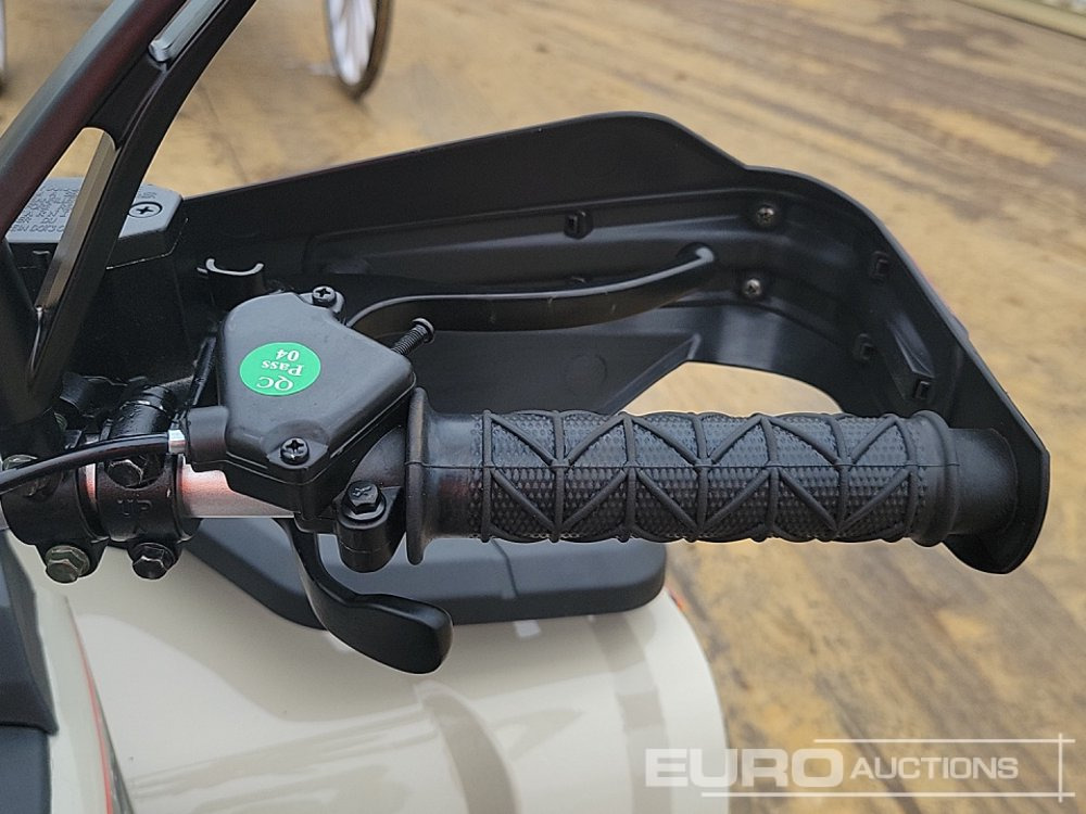 Quadricycle Unused 2025 Titan 250: photos 22