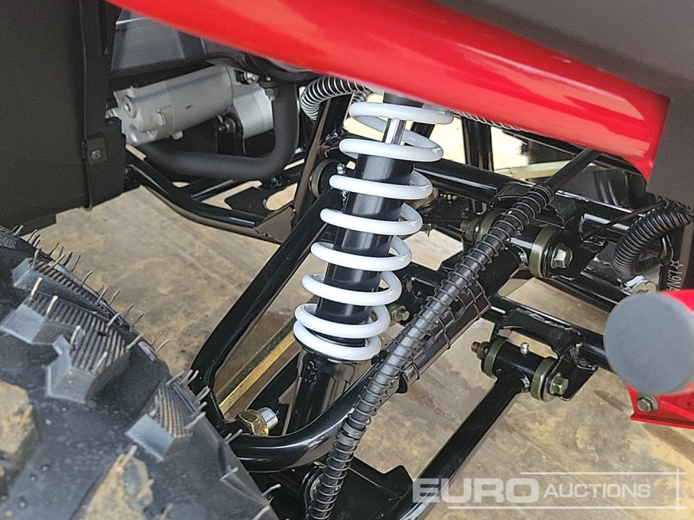 Quadricycle Unused 2025 Titan 250: photos 13