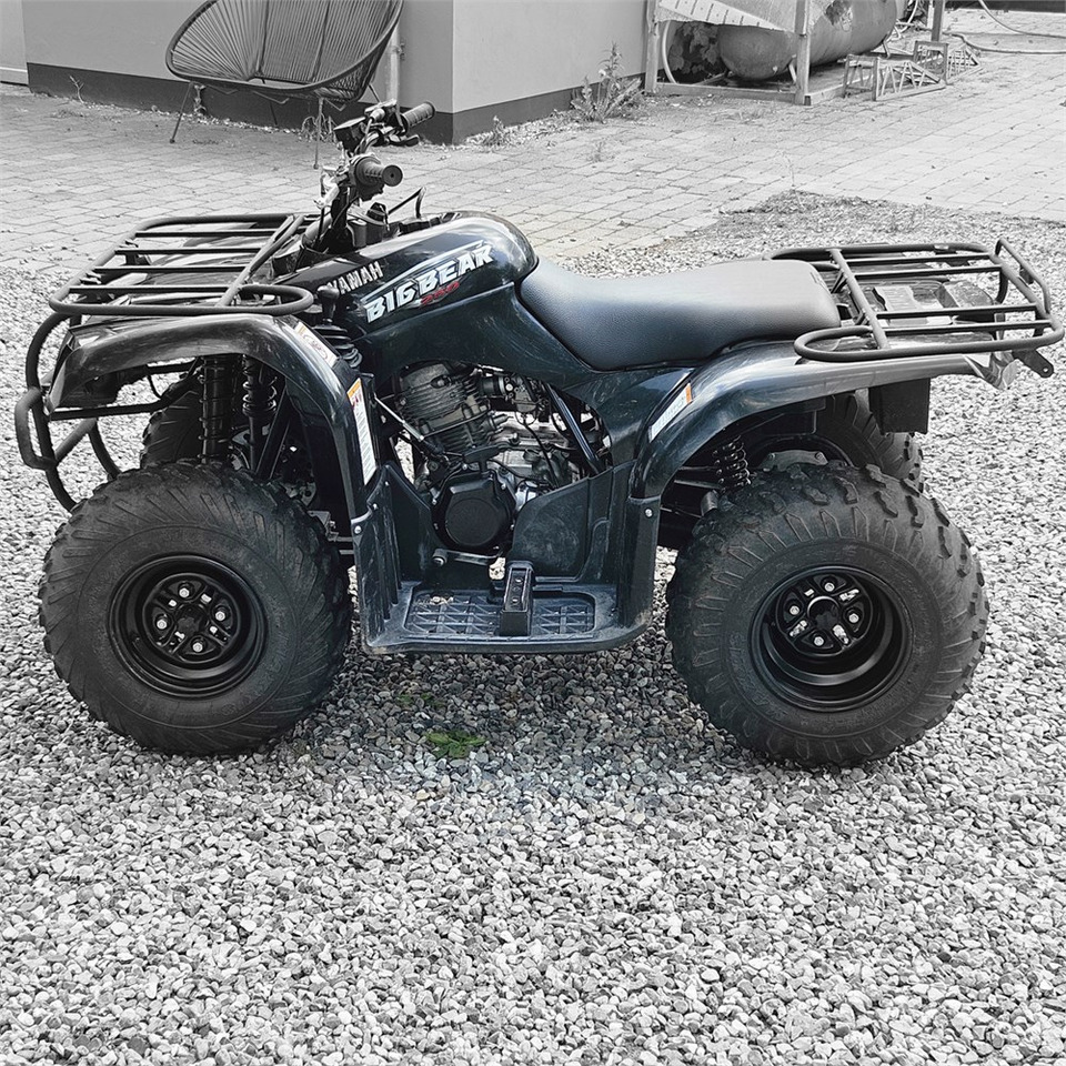 Yamaha YFM 250 - Quadricycle: photos 4 Yamaha YFM 250 - Quadricycle: photos 4