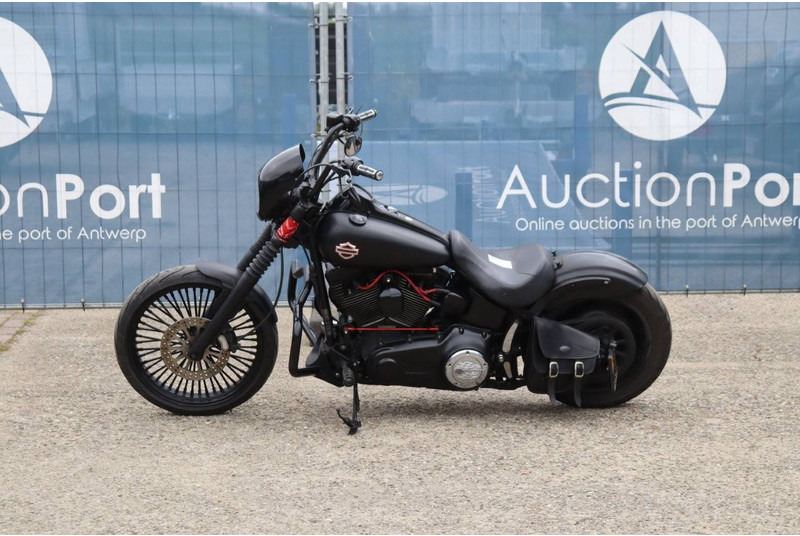 Harley-Davidson Deuce FXSTD Softail - Motocyclette: photos 2 Harley-Davidson Deuce FXSTD Softail - Motocyclette: photos 2