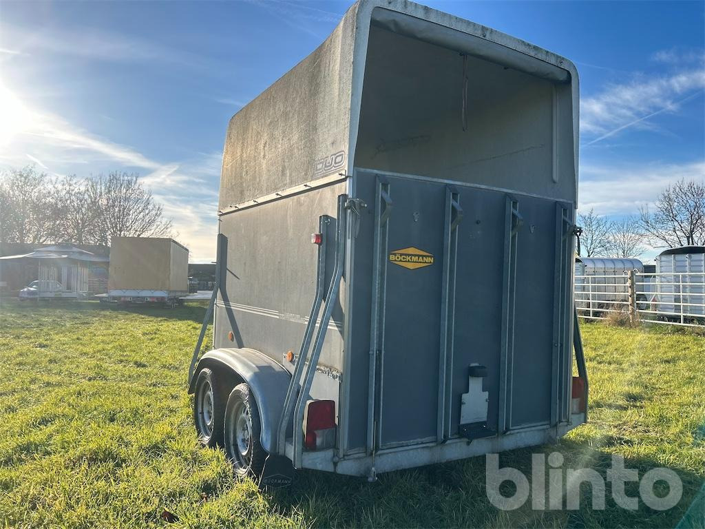 Böckmann DUO SDAH (2004) - Van chevaux: photos 4 Böckmann DUO SDAH (2004) - Van chevaux: photos 4